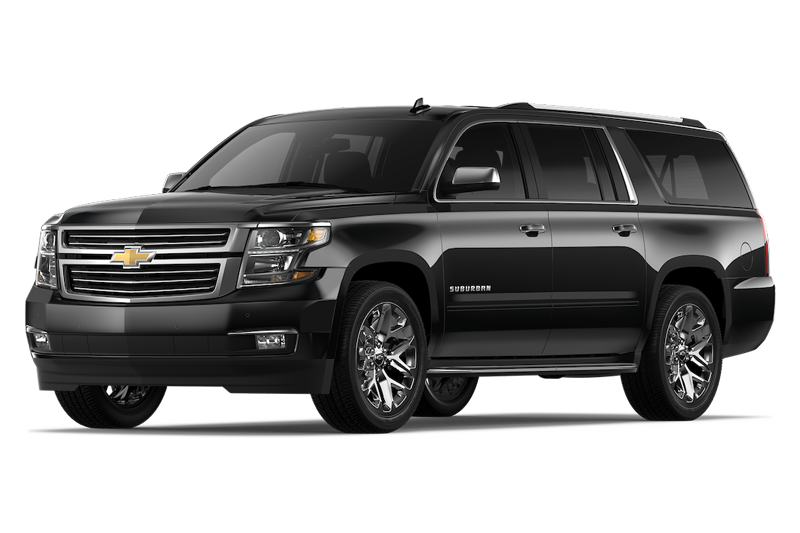 Business Van/SUV